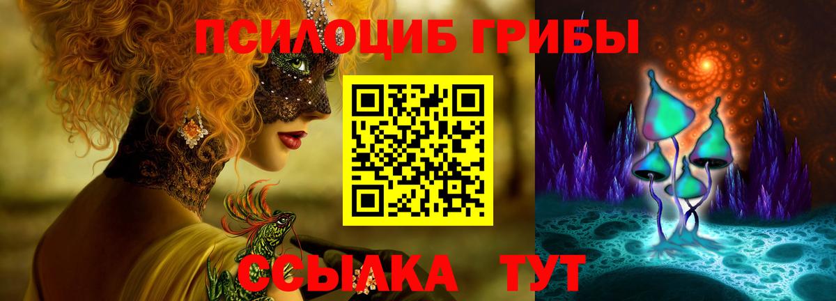 Галлюциногенные грибы Psilocybe Муравленко