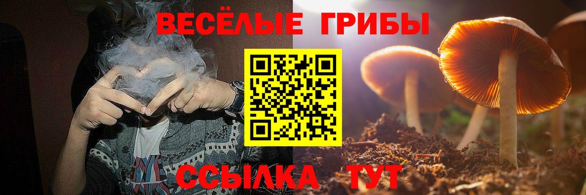 Муравленко  где найти наркотики  Вход с VPN  Галлюциногенные грибы ЛСД 